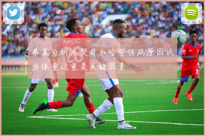 弗莱分析东契奇和哈登伤病原因认为体重过重是关键因素